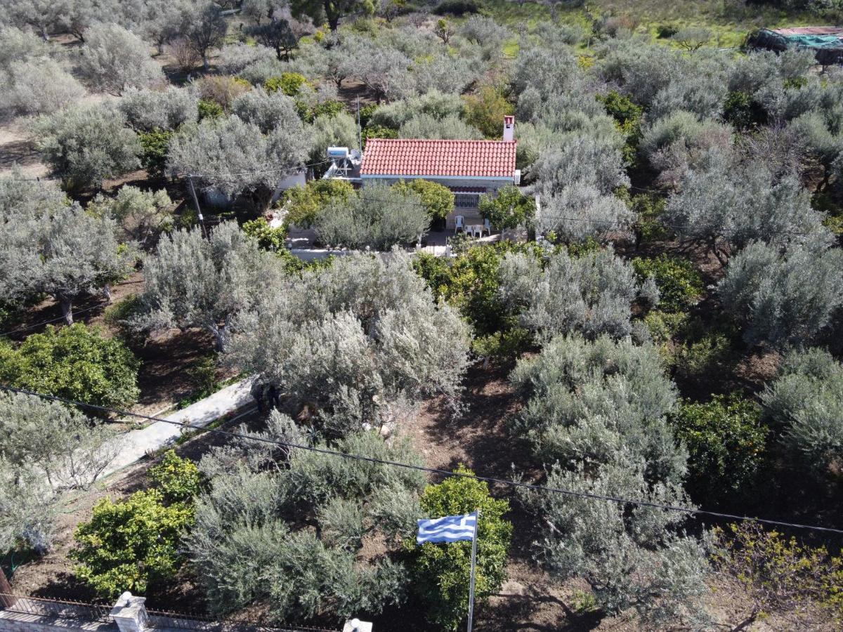 Villa Kavalino Kolymbia Exterior photo